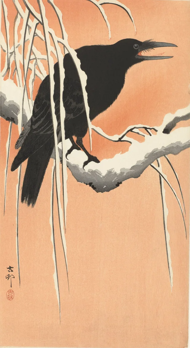 Corbeau sur une branche enneigée