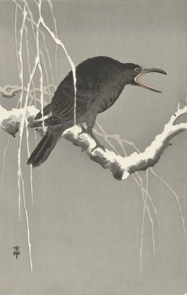 Corbeau sur une branche enneigée