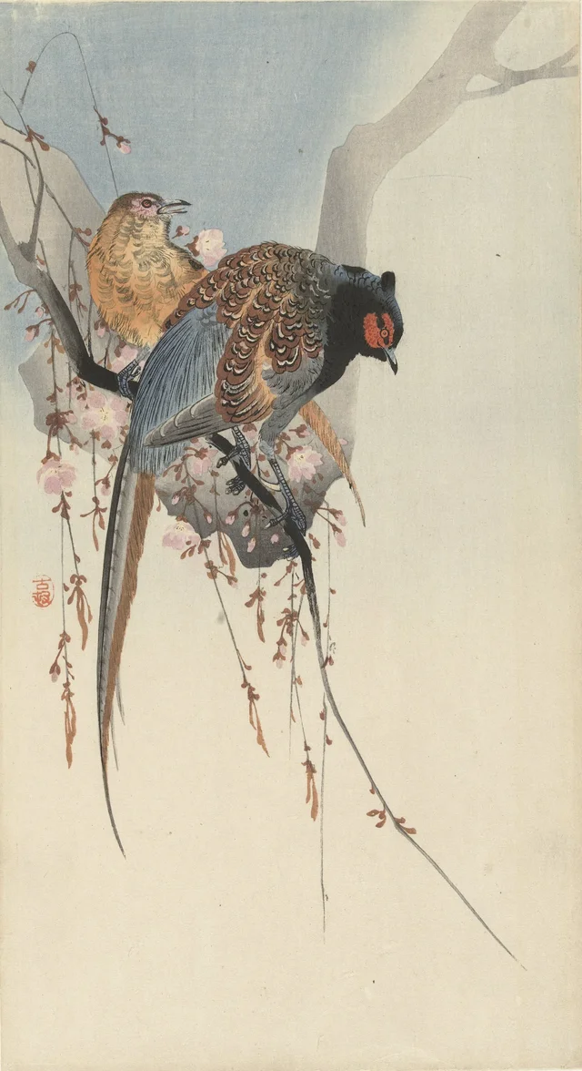 Pair of pheasants and plum blossom, Ohara Koson