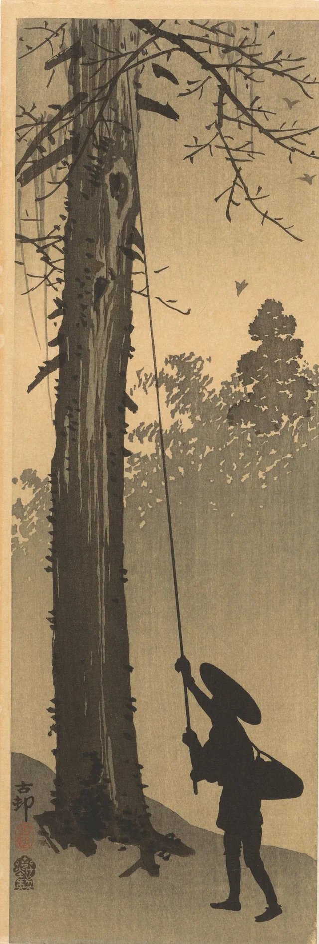Dénicheur d'oiseaux