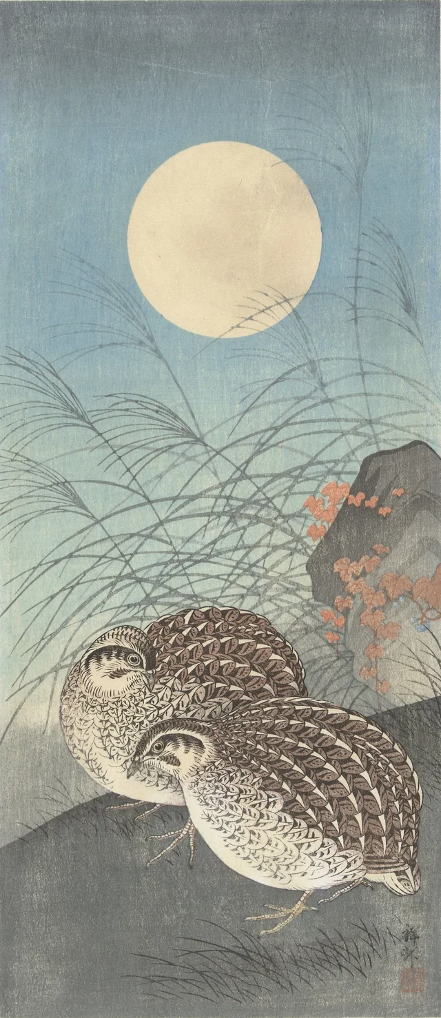 Deux cailles à la pleine lune