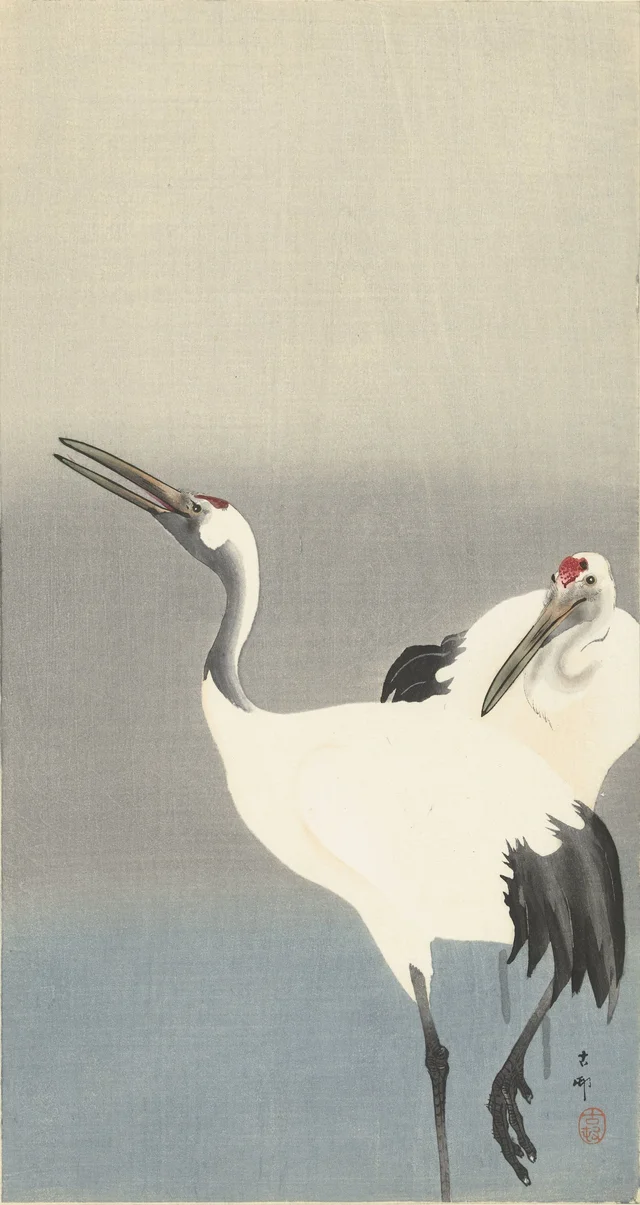 Deux grues