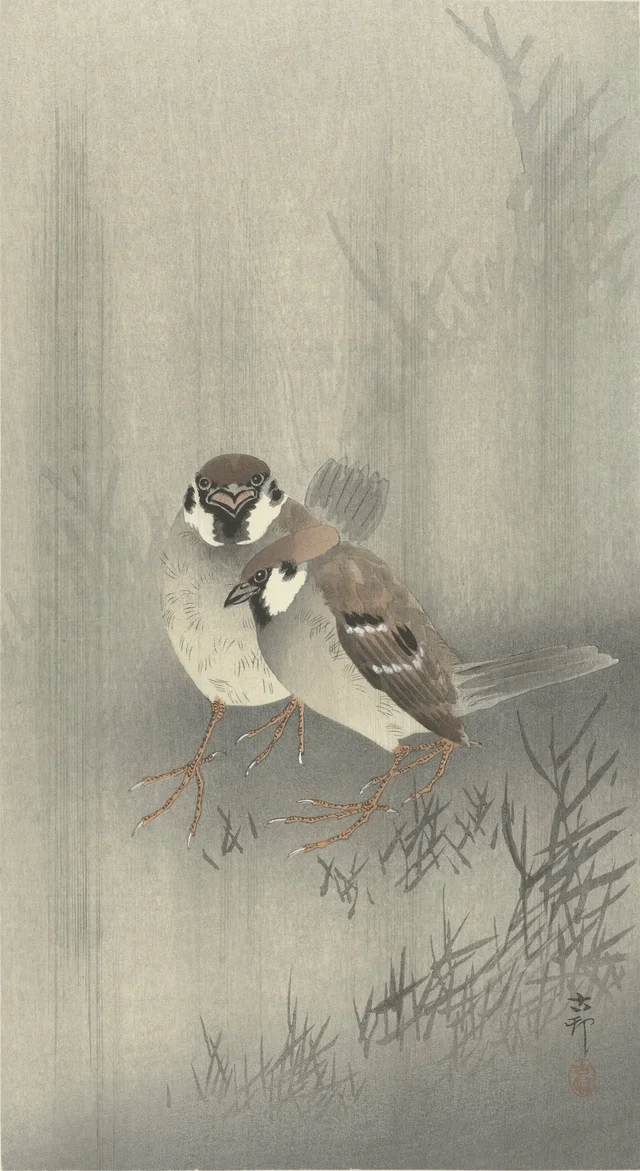 Two tree sparrows in the rain, Ohara Koson