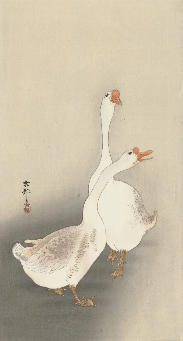 Dos gansos, Ohara Koson