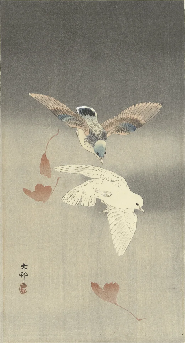 Deux pigeons parmi des feuilles de ginkgo qui tombent