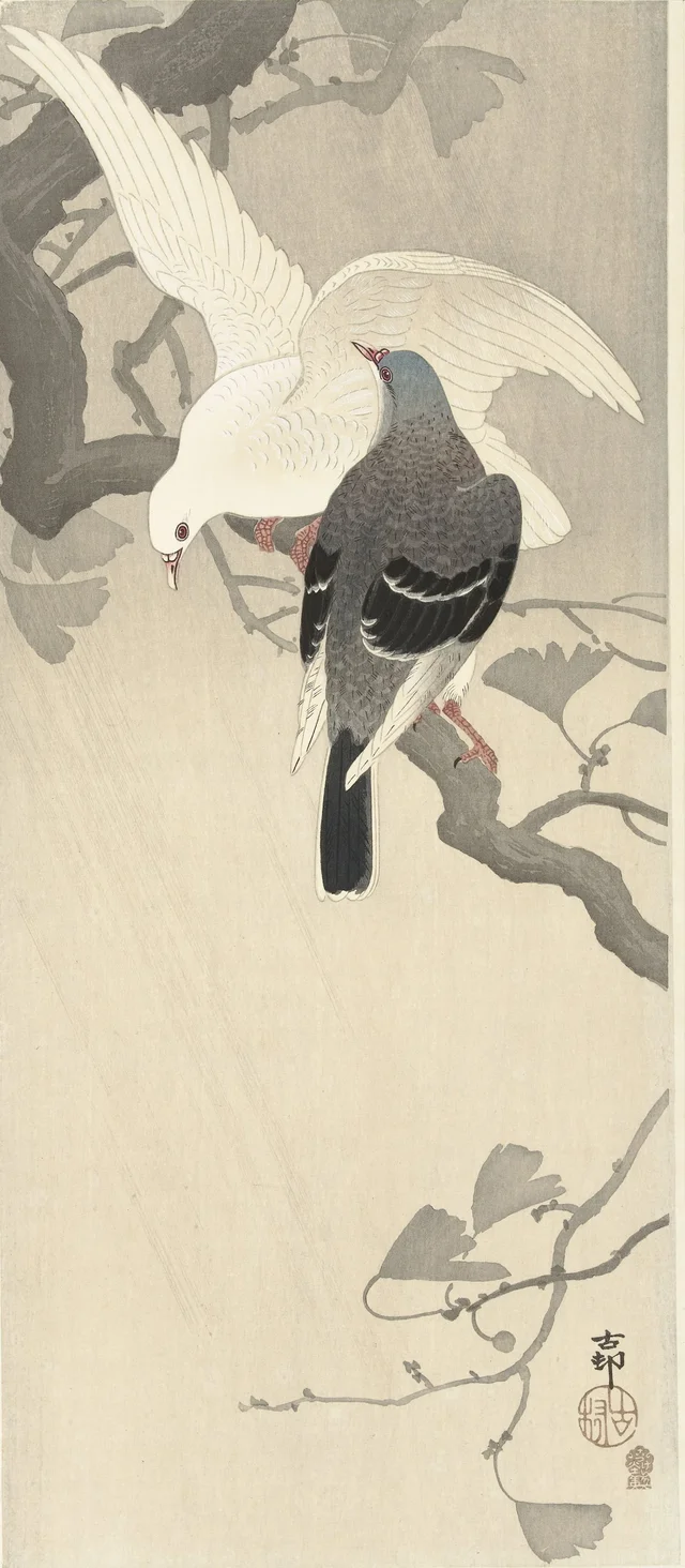 Deux pigeons sur une branche