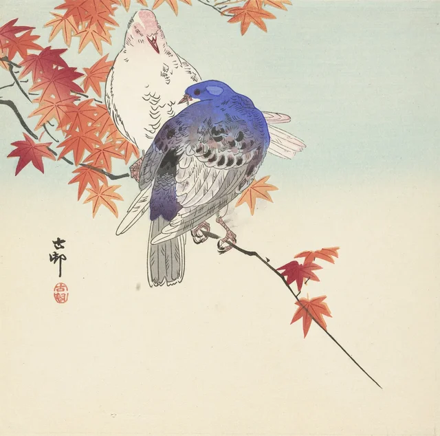 Deux pigeons sur une branche d'automne