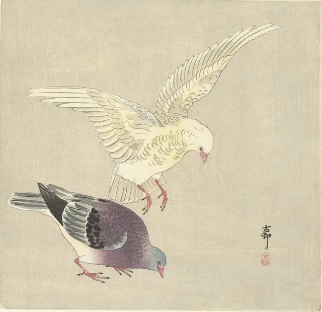 Deux pigeons