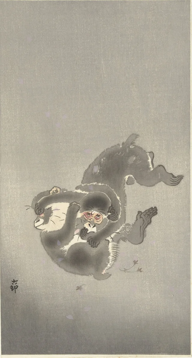 Deux singes qui jouent