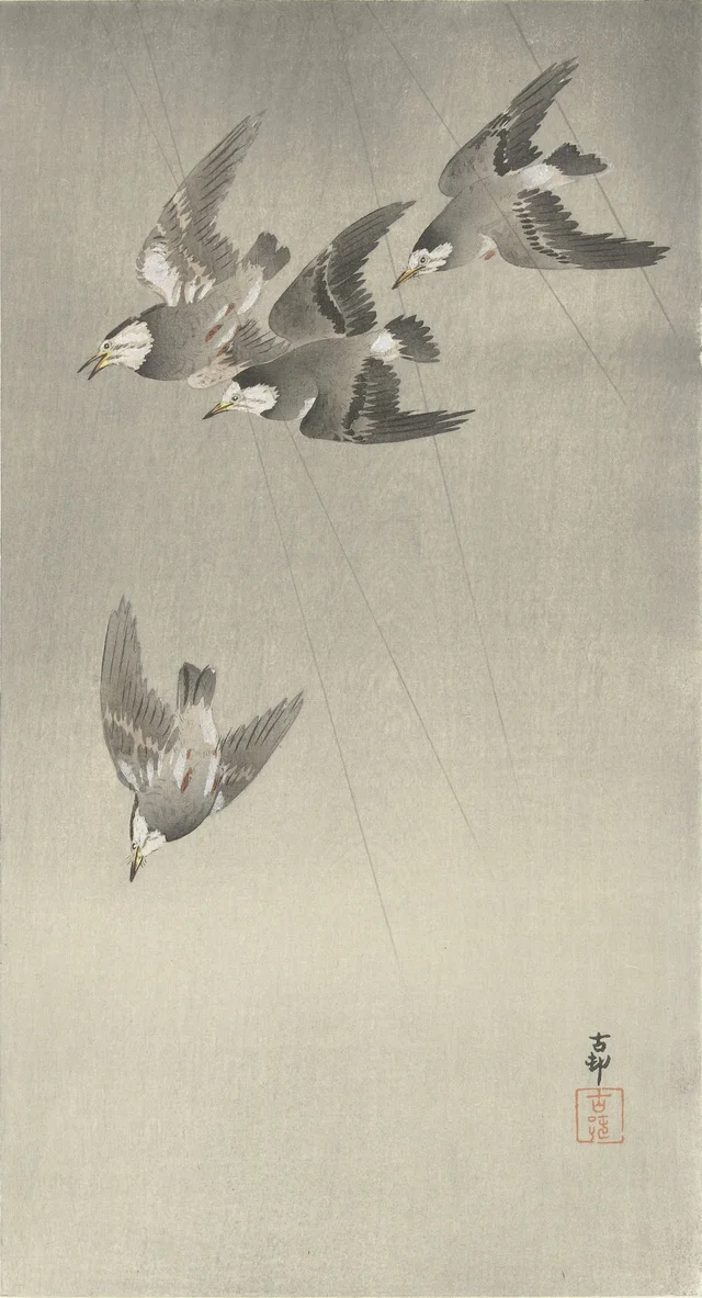 Étourneaux sous la pluie, Ohara Koson