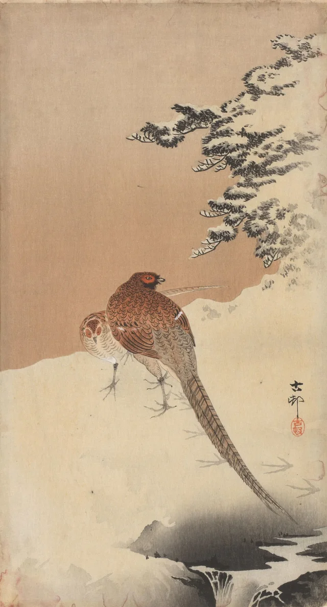 Faisans dans la neige
