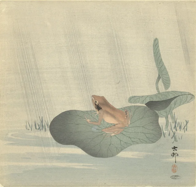 Grenouille sur une feuille de lotus