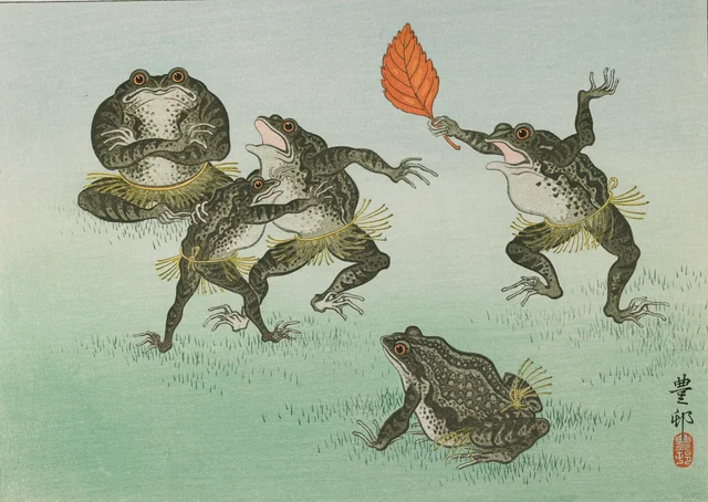 Grenouilles luttant