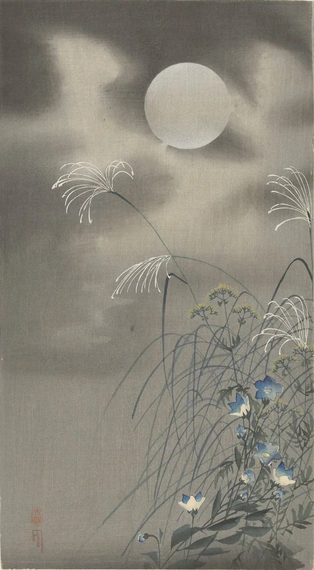 Herbes et fleurs sous la pleine lune