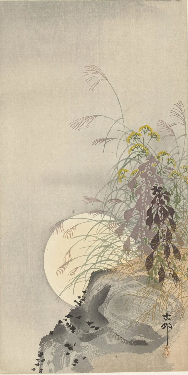 Herbes sous la pleine lune