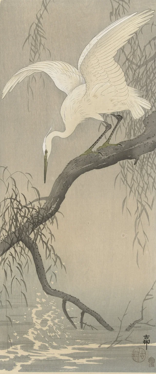 Héron blanc sur une branche d'arbre