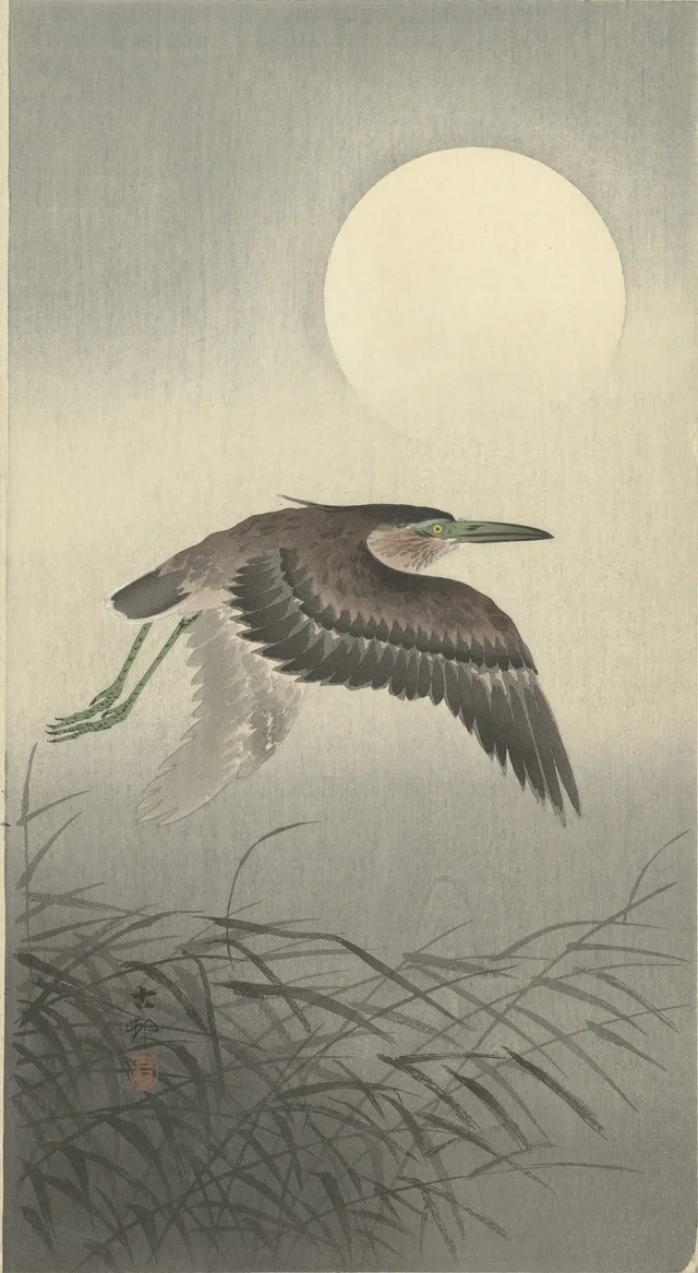 Héron sous la pleine lune