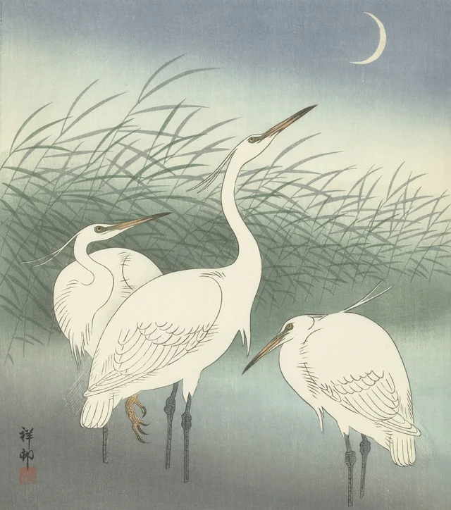 Herons in shallow water, Ohara Koson
