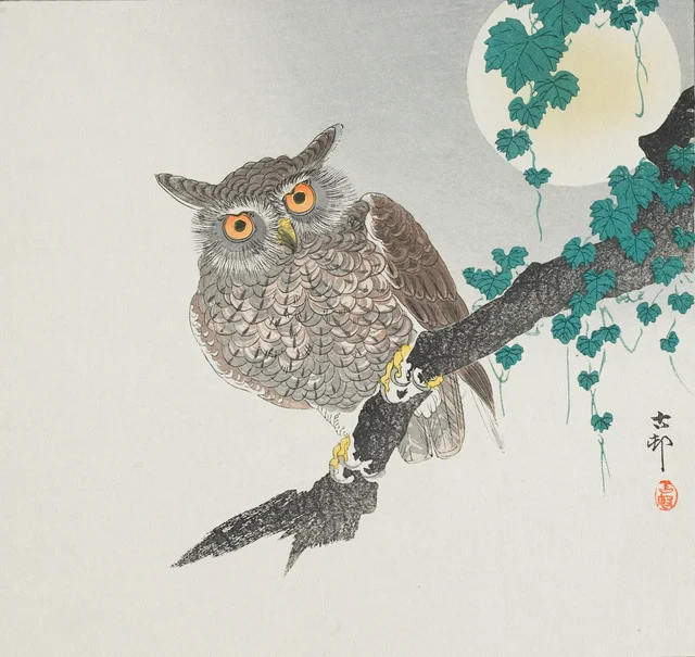 Owl, Ohara Koson