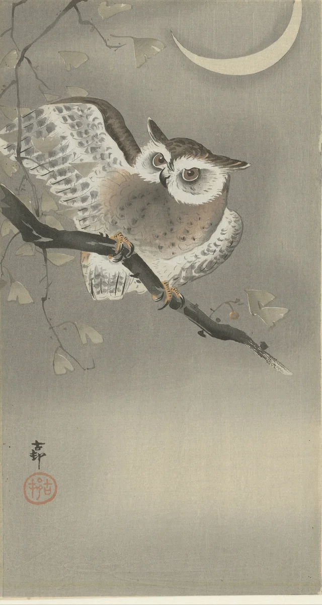 Búho chico en un ginkgo, Ohara Koson