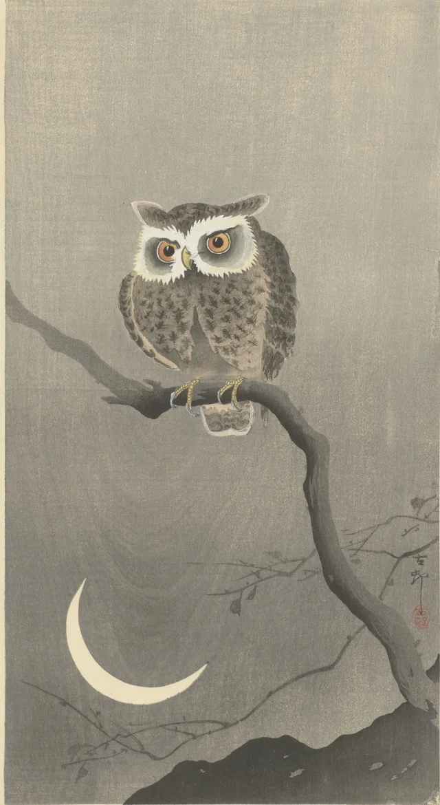 Búho chico sobre una rama desnuda, Ohara Koson