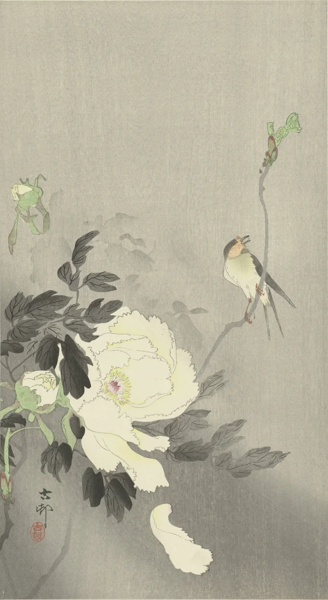 Swallow with Peony, Ohara Koson
