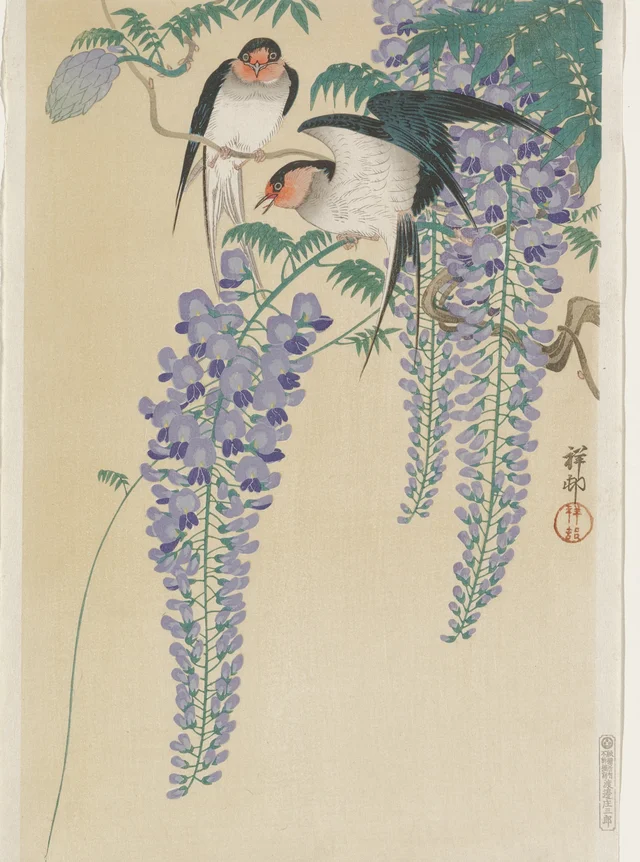Swallows and Wisteria, Ohara Koson