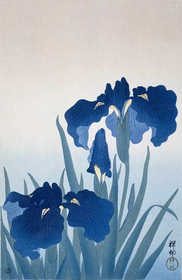 Lirios, Ohara Koson