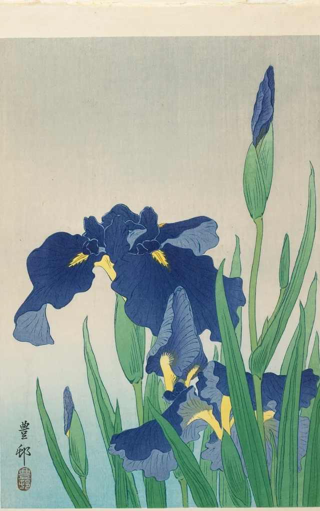 Iris, Ohara Koson