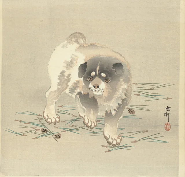 Jeune chien