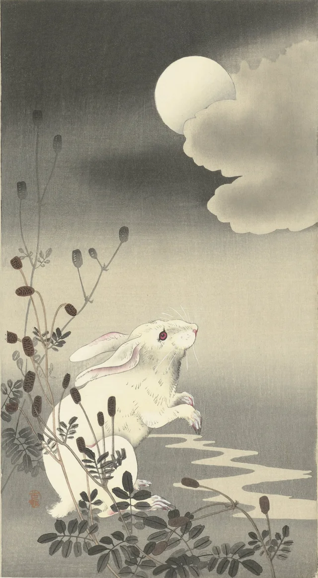 Lapin sous la pleine lune
