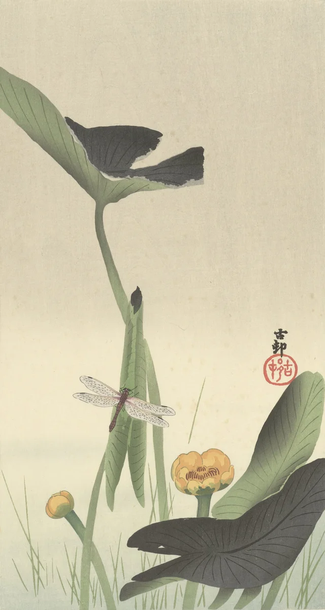 Libellule et lotus