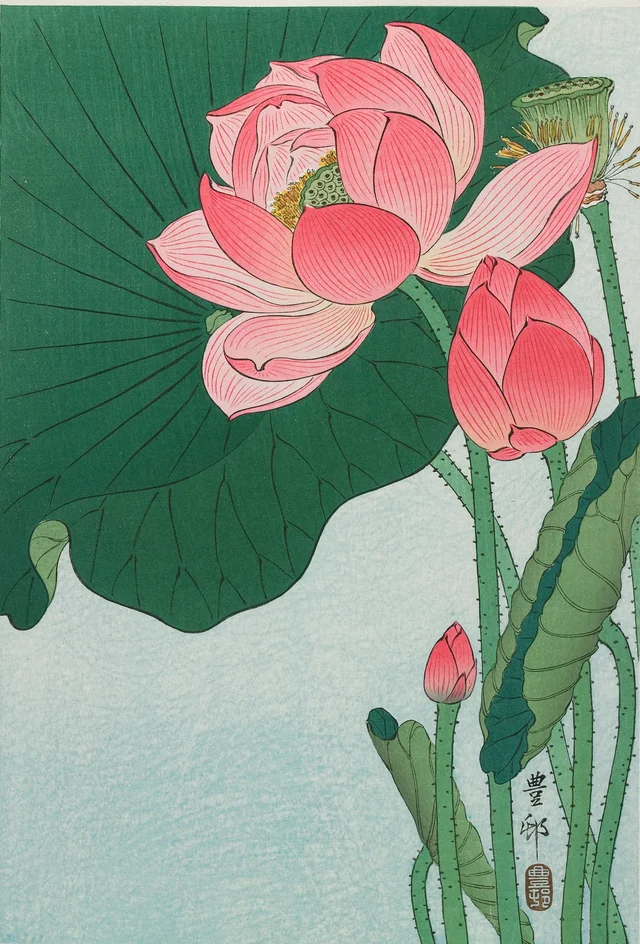 Lotus, Ohara Koson