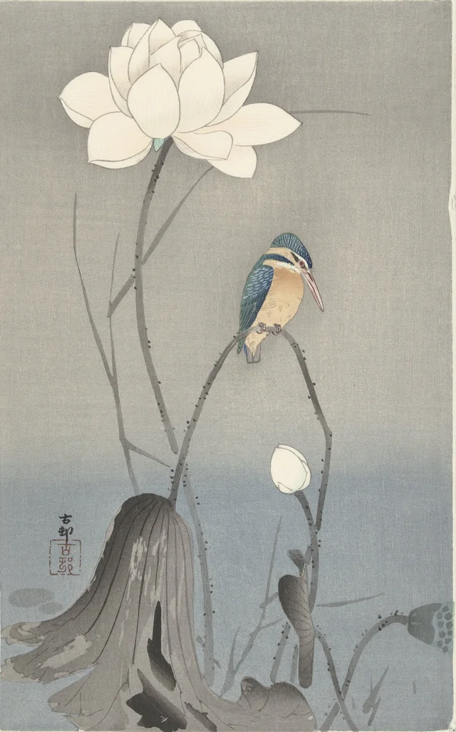 Martin-pêcheur et fleur de lotus