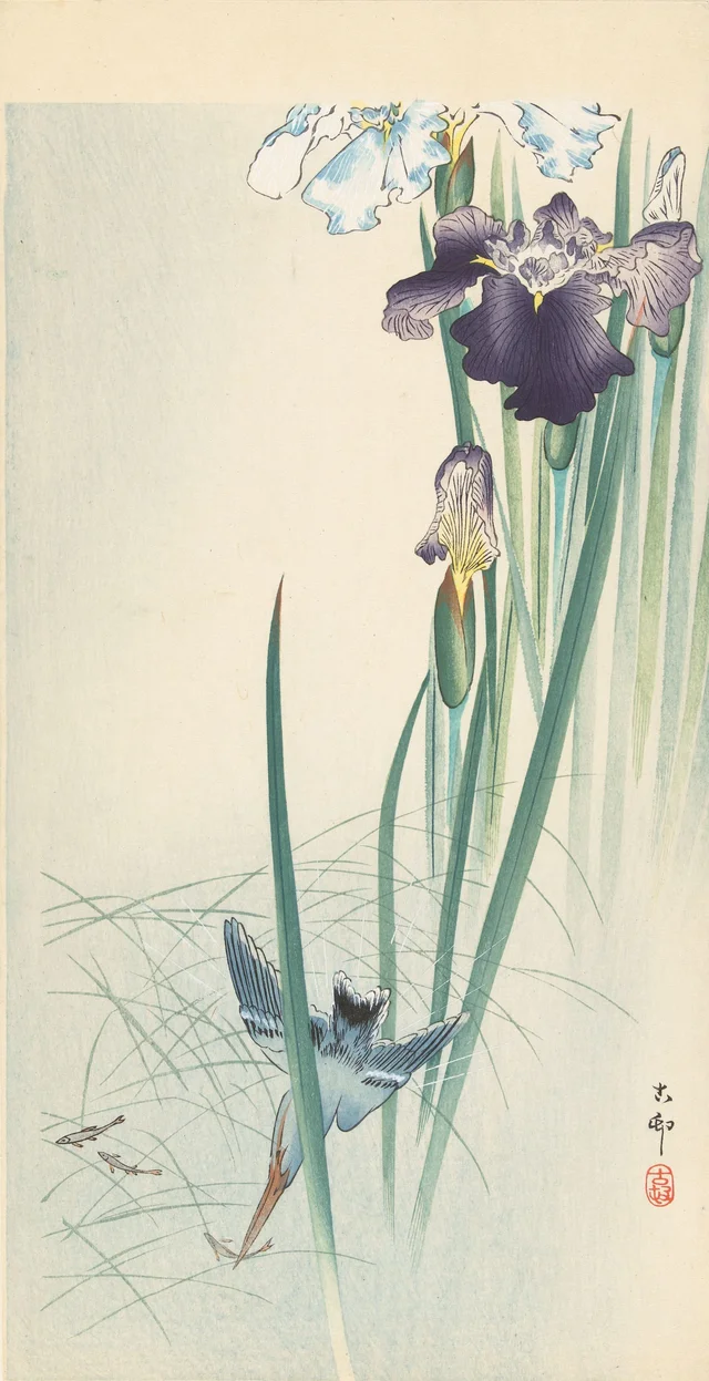 Martin-pêcheur et iris