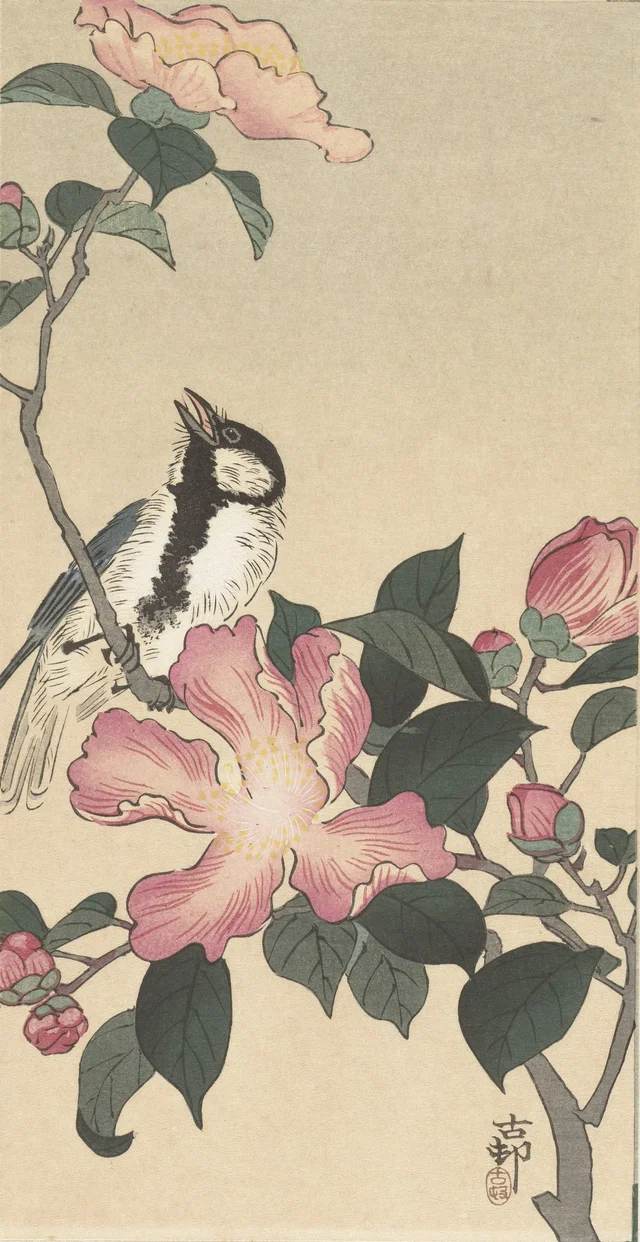 Mésange charbonnière sur une branche à fleurs roses