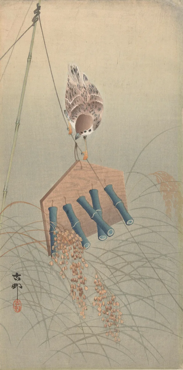 Moineau friquet sur un épouvantail