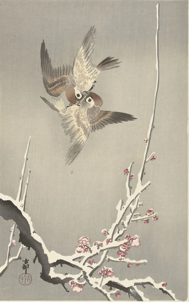 Sparrows and snow-covered plum tree, Ohara Koson