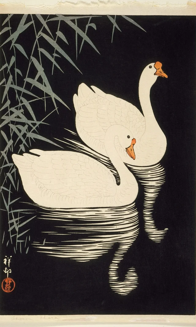 Gansos blancos chinos nadando junto a las cañas, Ohara Koson
