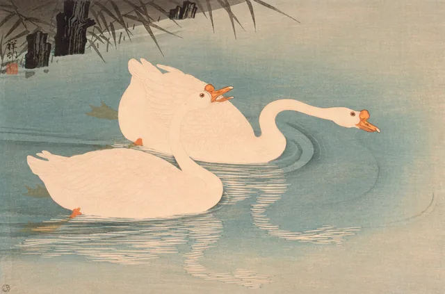 Gansos blancos chinos entre las cañas, Ohara Koson