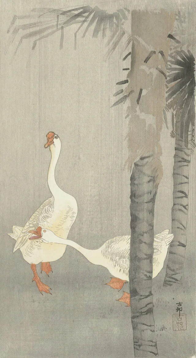 Domestic geese in the rain, Ohara Koson