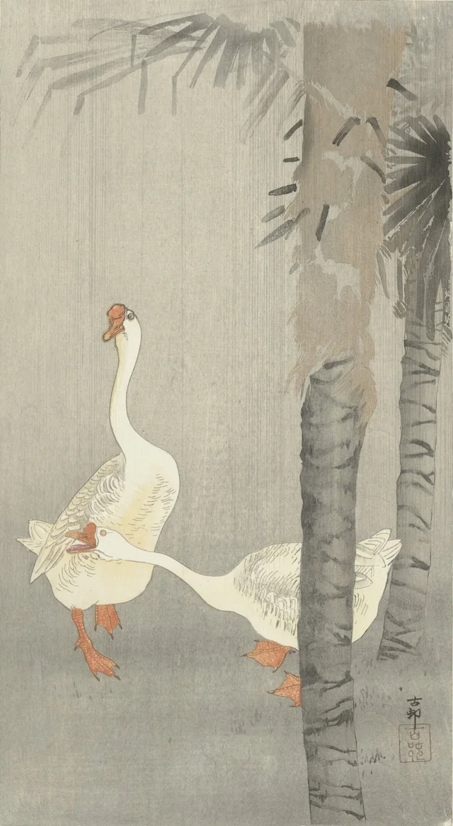 Oies domestiques sous la pluie, Ohara Koson