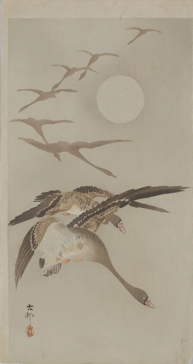 Oies en vol et lune