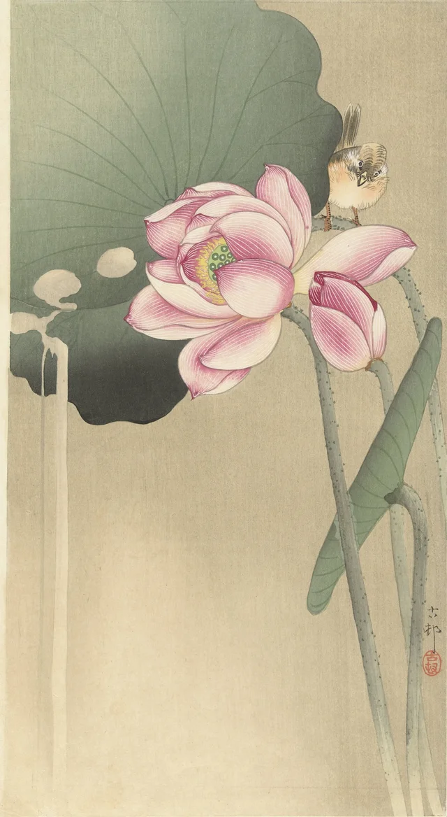 Oiseau chanteur et lotus