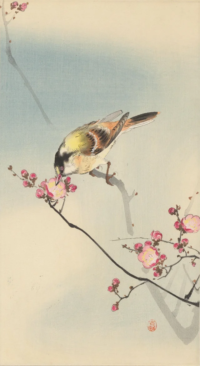 Oiseau chanteur sur une branche en fleurs