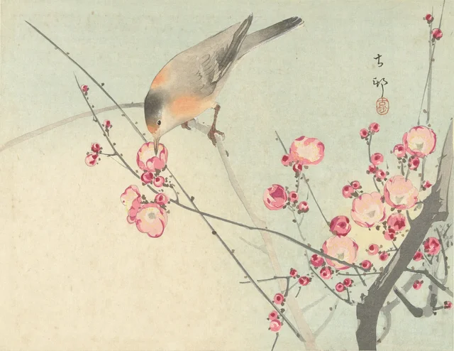 Oiseau chanteur sur une branche en fleurs