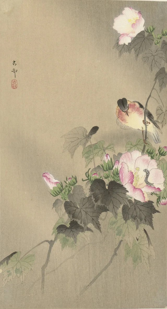 Oiseau et chenille