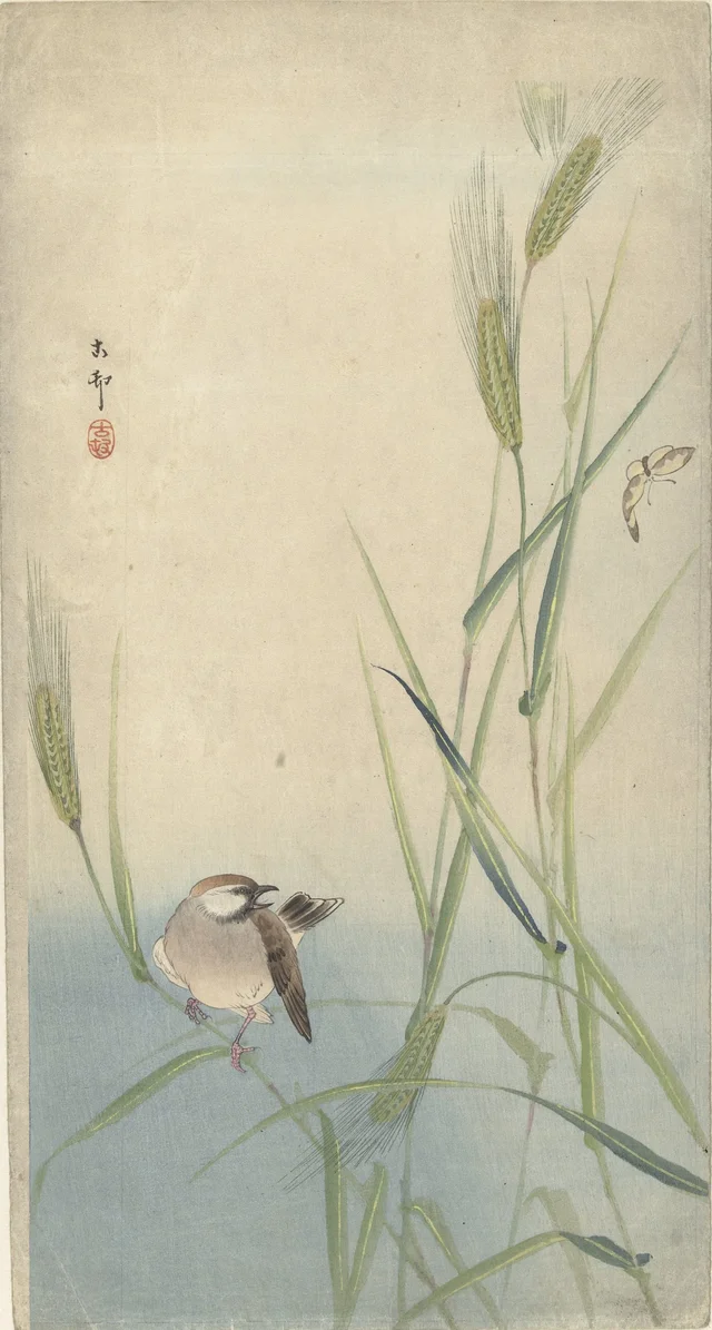 Oiseau et papillon