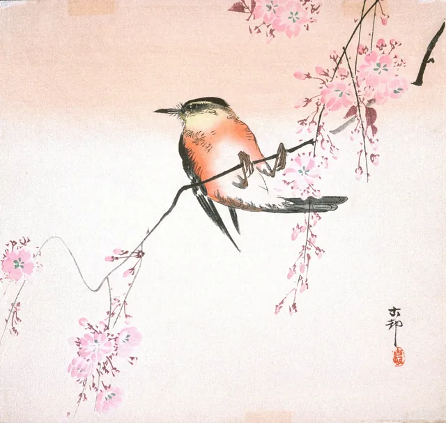 Bird on Weeping Cherry
