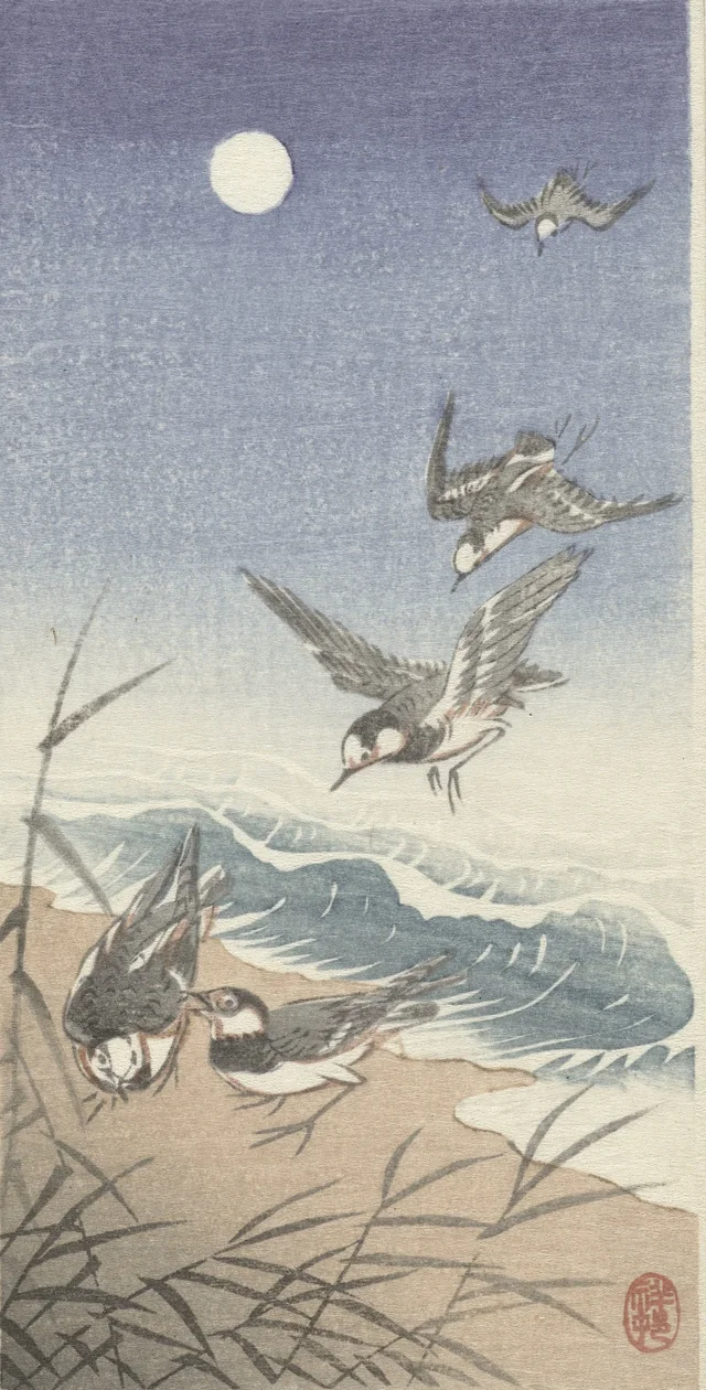 Oiseaux sous la pleine lune